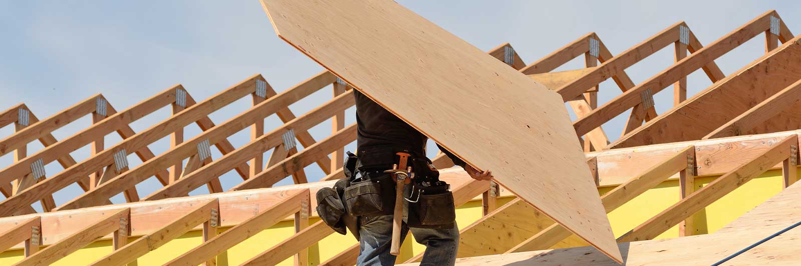 plywood cati kullanim alani